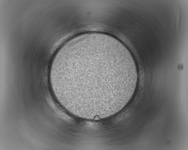 X0000112510442200909141203