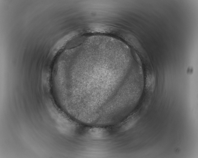 X0000112510444200909141203