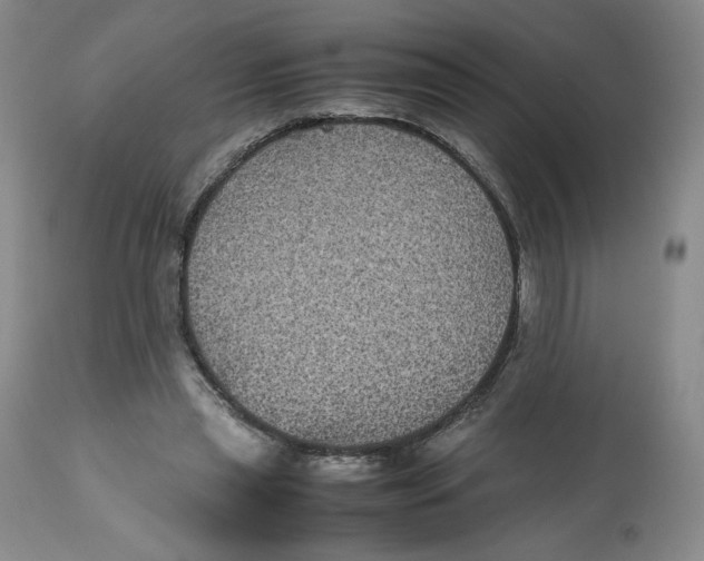 X0000112510445200909141203