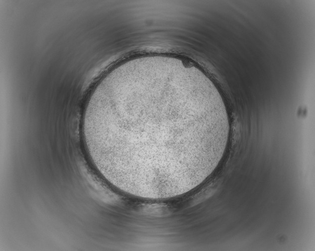 X0000112510446200909141203