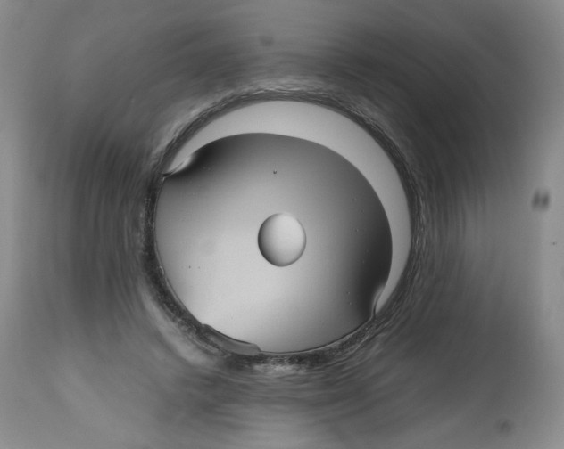 X0000112510448200909141203