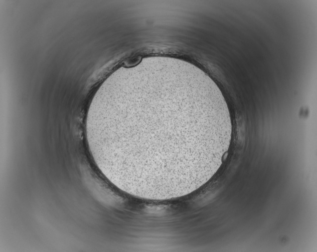 X0000112510450200909141203