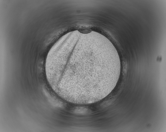 X0000112510451200909141203