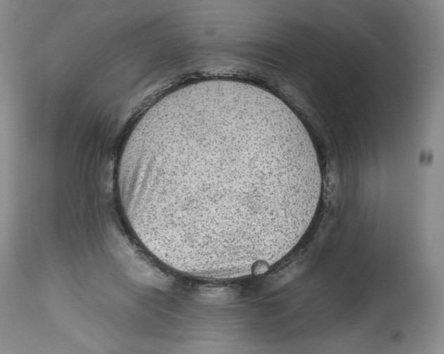 X0000112510454200909141203