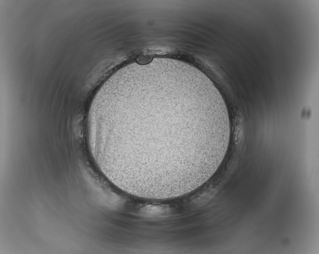 X0000112510455200909141203