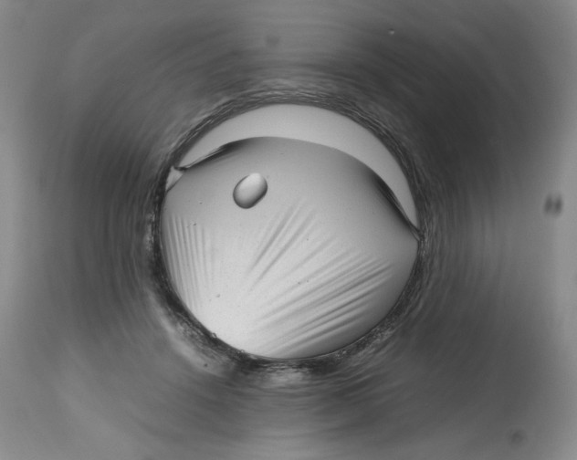 X0000112510456200909141203