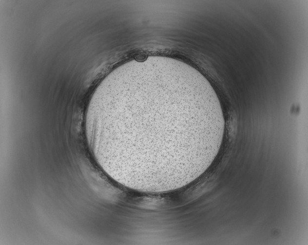 X0000112510458200909141203