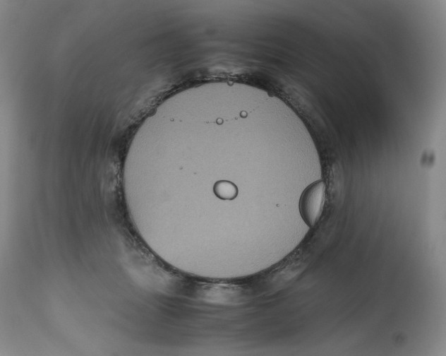 X0000112510463200909141204