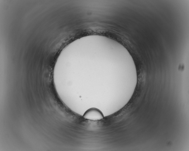 X0000112510464200909141204