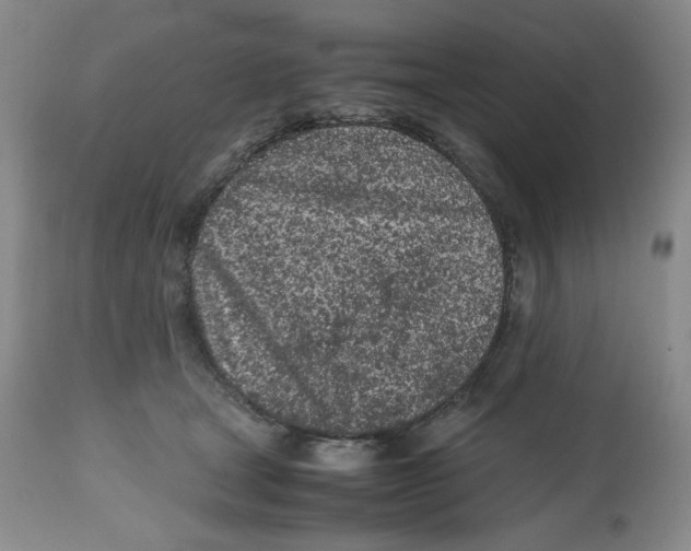 X0000112510465200909141204