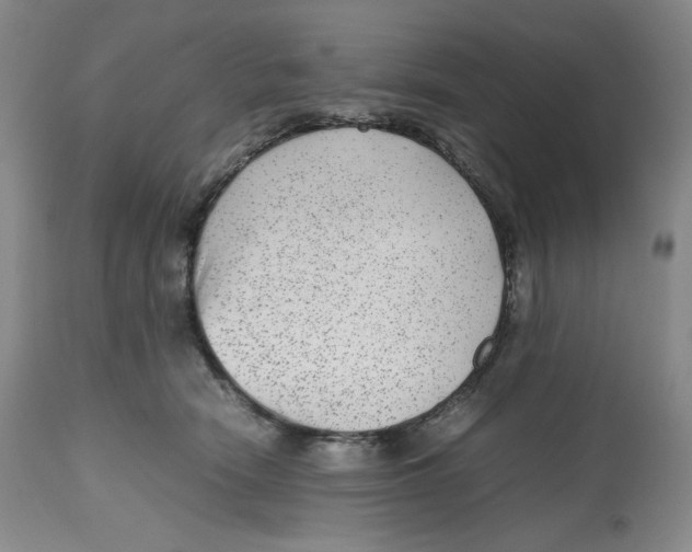 X0000112510466200909141204