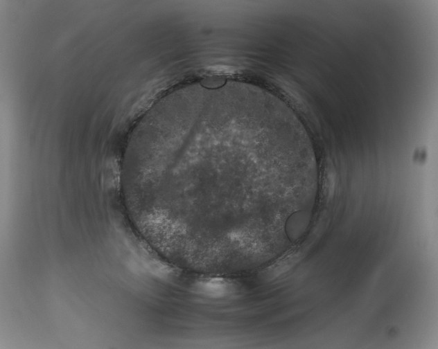 X0000112510467200909141204