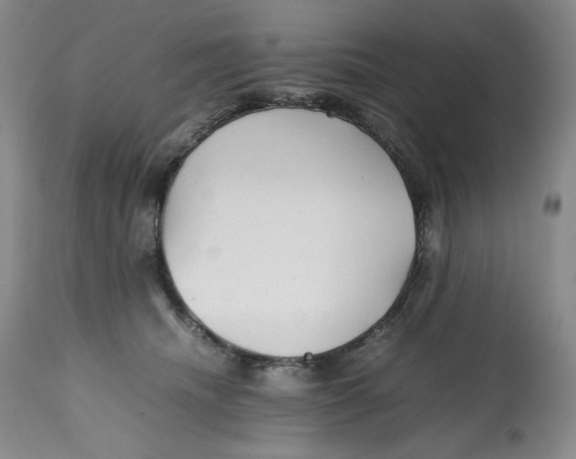 X0000112510468200909141204