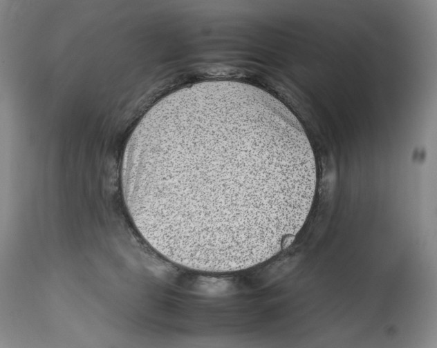 X0000112510469200909141204