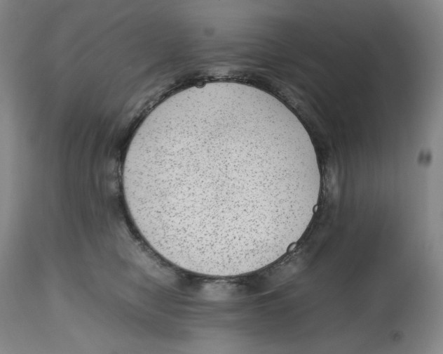 X0000112510470200909141204