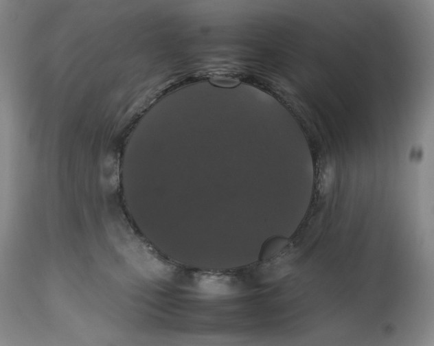 X0000112510471200909141204