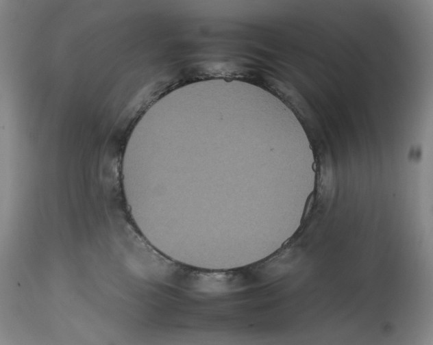 X0000112510473200909141204