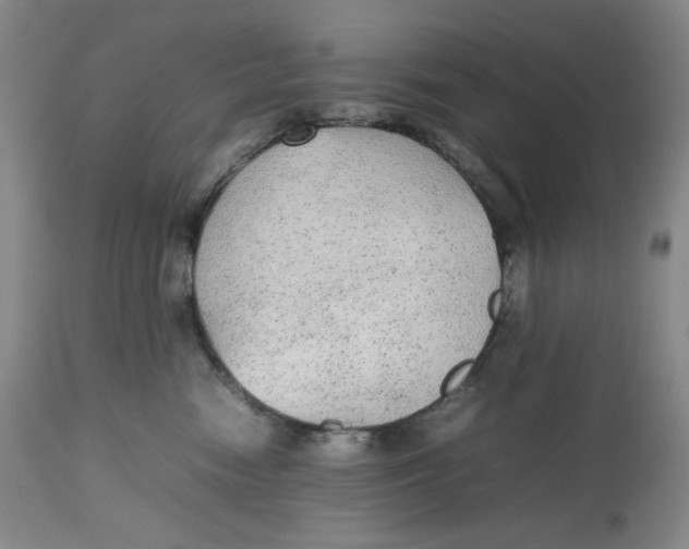 X0000112510474200909141204