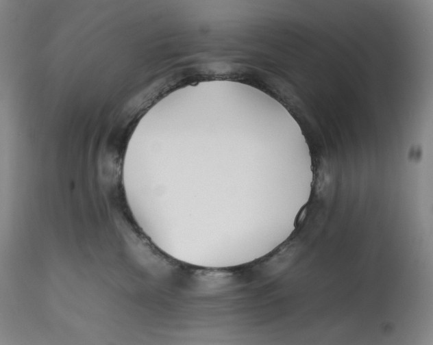 X0000112510476200909141204