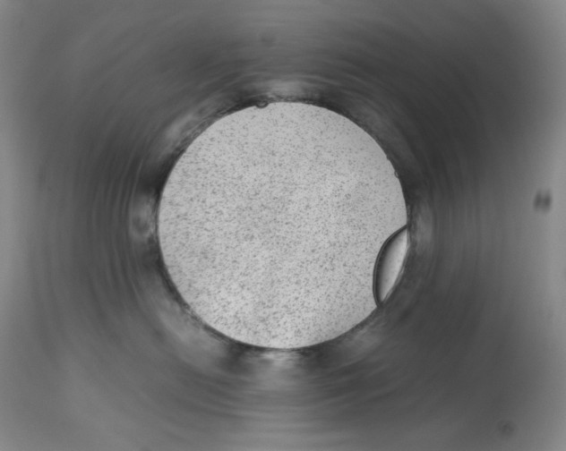 X0000112510478200909141204