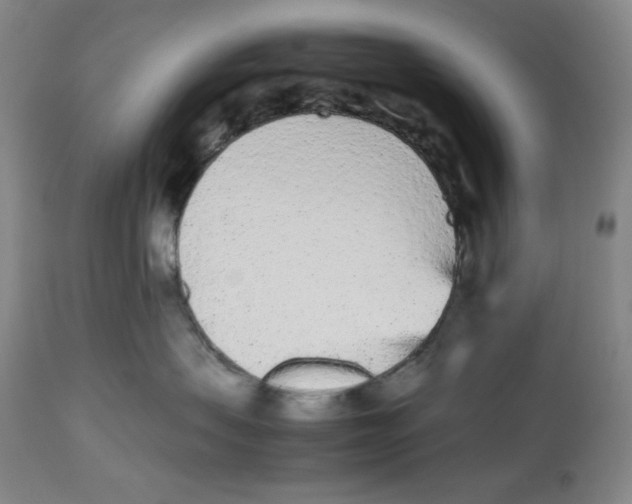 X0000112510479200909141204