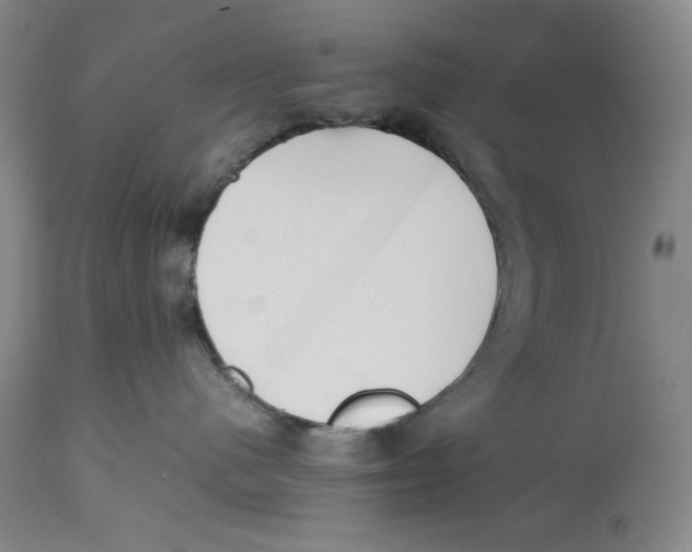 X0000112510480200909141204