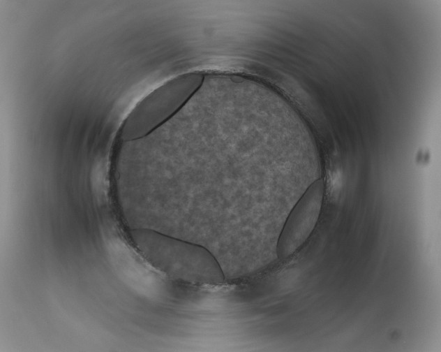 X0000112510484200909141203