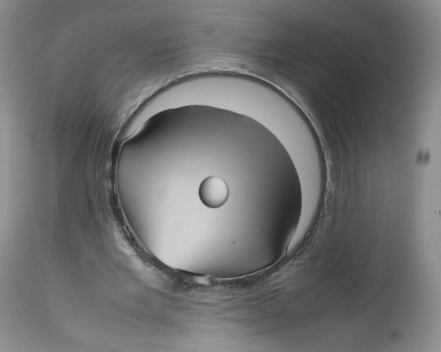 X0000112510485200909141203