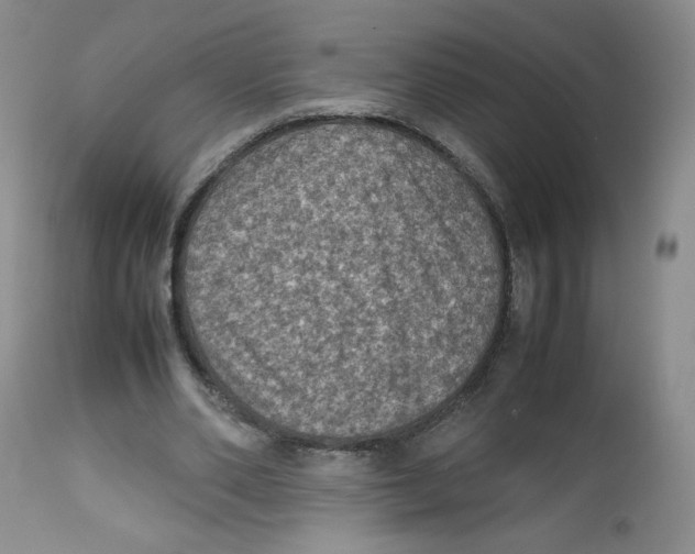 X0000112510486200909141203