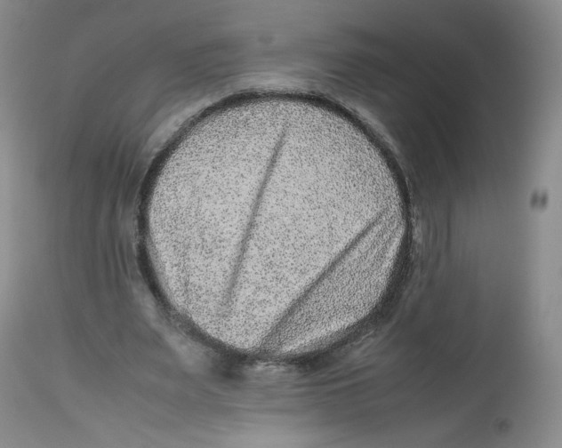 X0000112510487200909141203