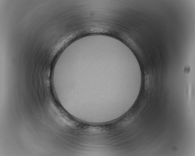 X0000112510490200909141203