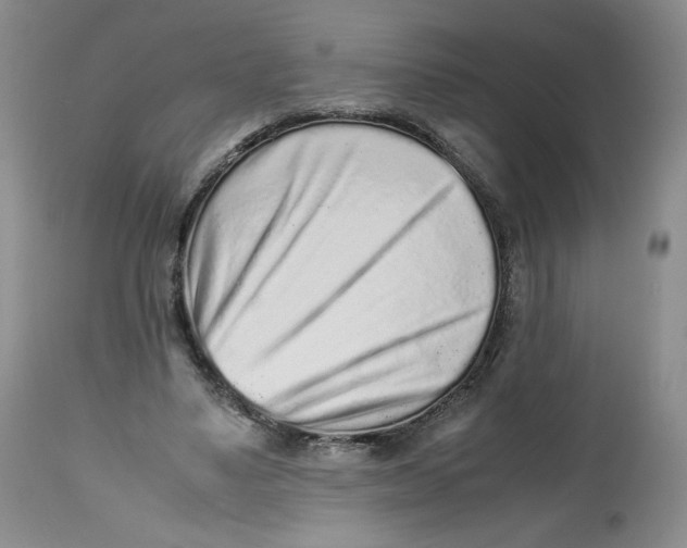 X0000112510491200909141203