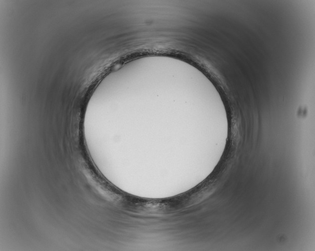 X0000112510493200909141203