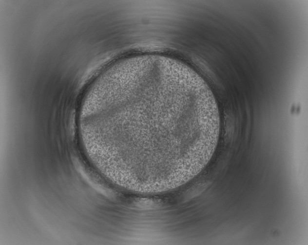 X0000112510494200909141203