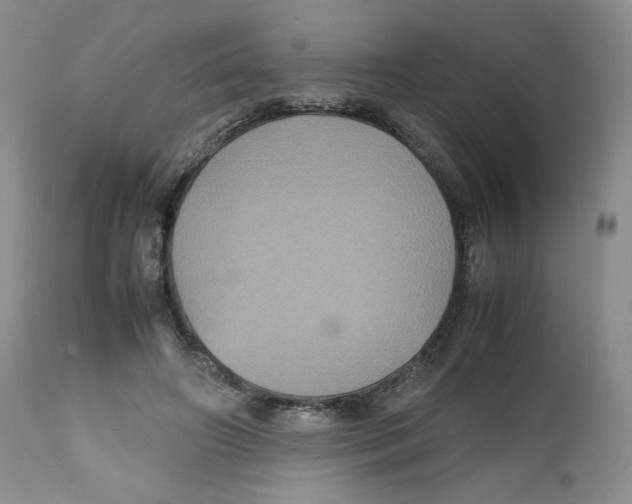 X0000112510498200909141203