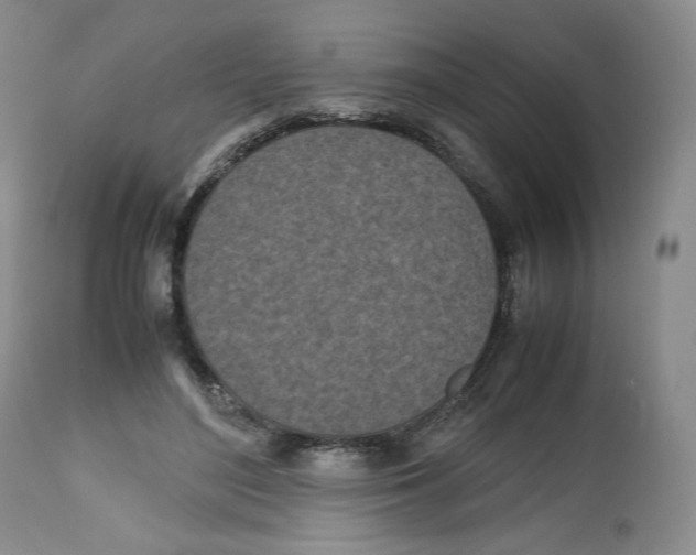 X0000112510500200909141203