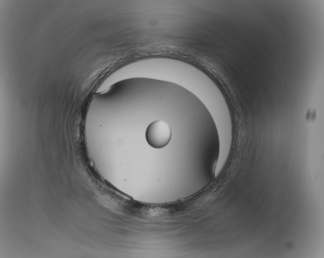 X0000112510501200909141203