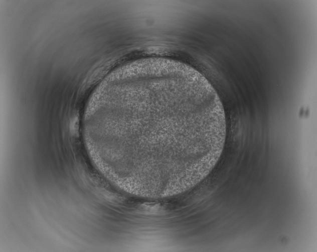 X0000112510502200909141203