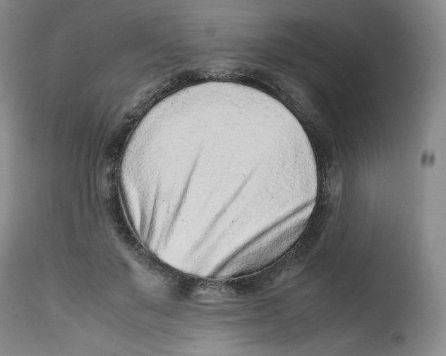 X0000112510503200909141203