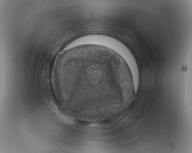 X0000112510504200909141203