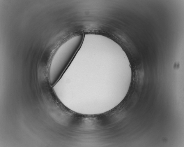 X0000112510508200909141203