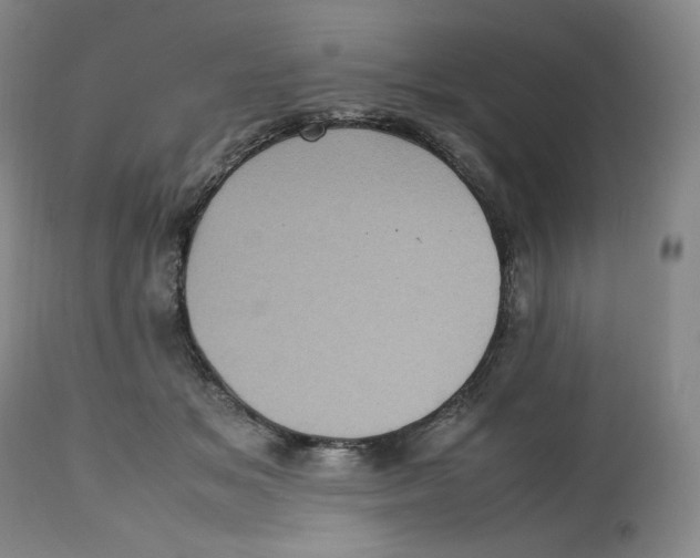 X0000112510509200909141203