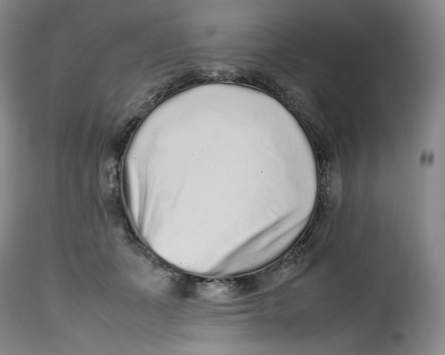 X0000112510511200909141203