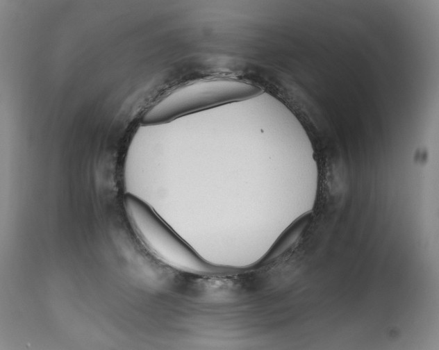 X0000112510512200909141203