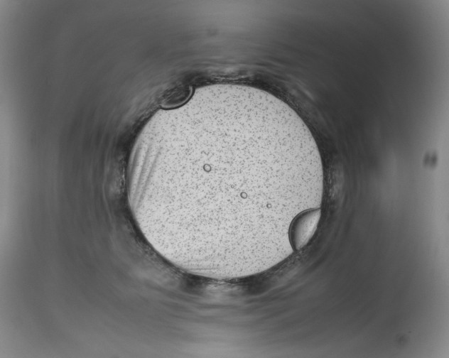 X0000112510515200909141203