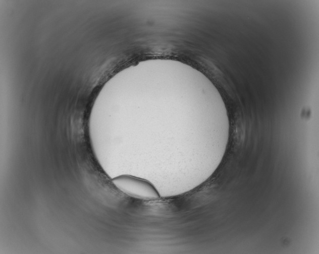 X0000112510516200909141203