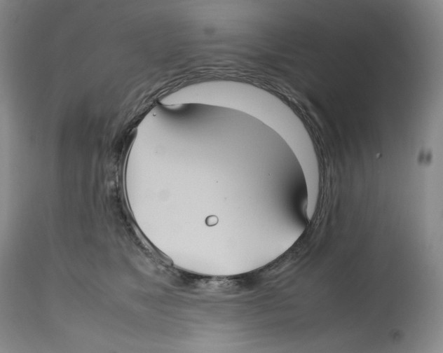 X0000112510517200909141202