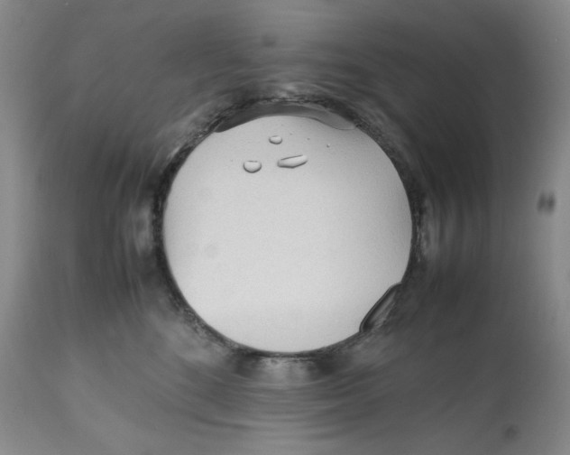 X0000112510520200909141202