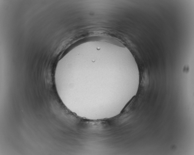 X0000112510524200909141202