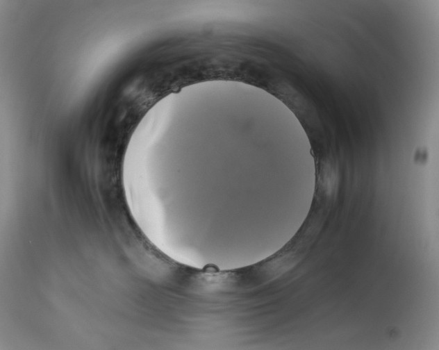 X0000112510526200909141202